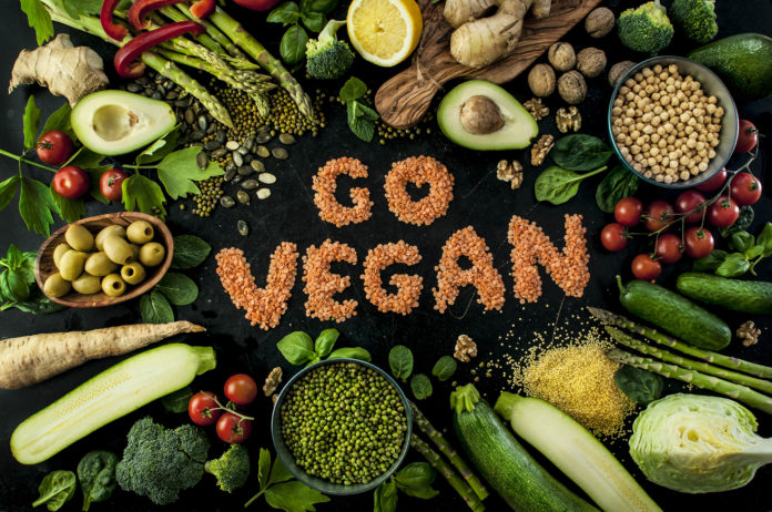 vegan-endgiften